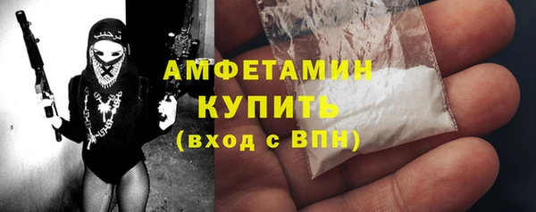 apvp Иннополис
