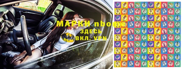 apvp Иннополис