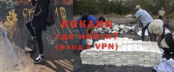 apvp Иннополис