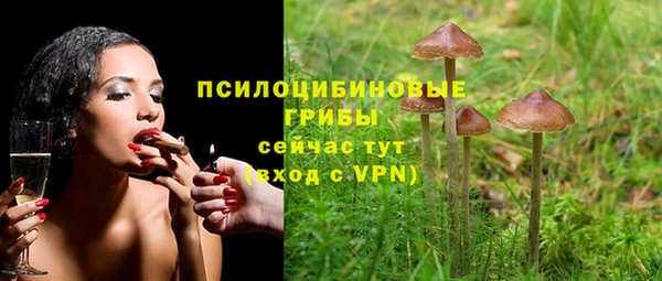 apvp Иннополис