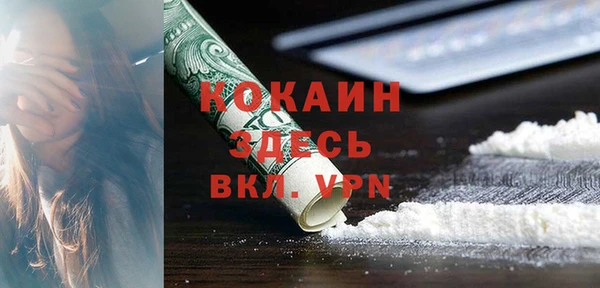 apvp Иннополис