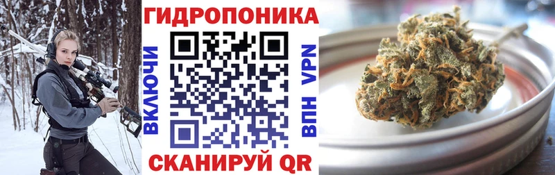 Купить  Дмитриев  Канабис план 